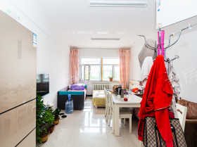 房龄新 小户型 单身公寓 总价低 看房方便